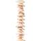 12 Pack: Natural Shell Nugget Beads, 13mm by Bead Landing™